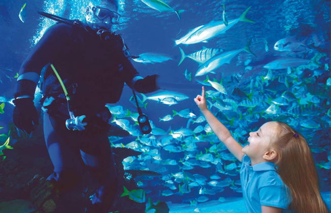 Houston CityPASS® - Foto 7