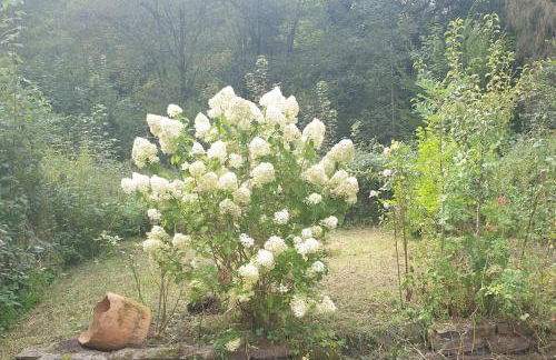 Das grüne Haus allein für Dich! - Foto 12