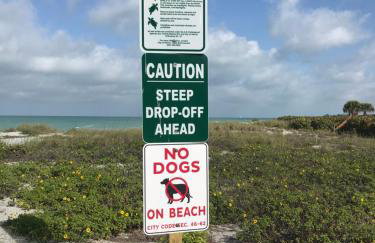 Beachfront Venice Casa de Villa - Photo 20