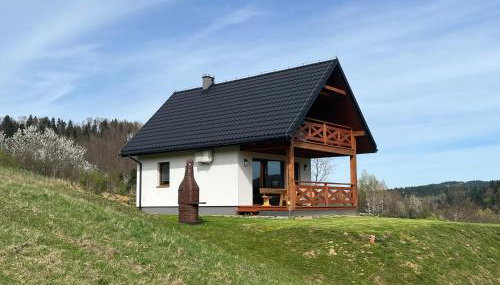 Biesiedlisko Bieszczadzkie - Foto 3