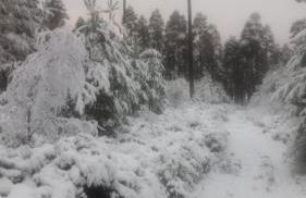 Wester Curr Cottage - Luxury 5-Star Cottage with Private Pool & Hot Tub - Foto 55