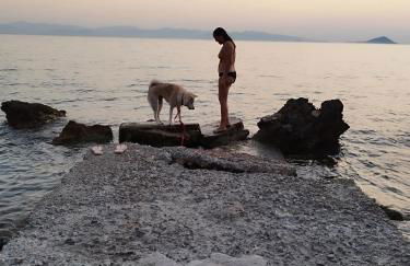 SolMar Aegina with private pool - jacuzzi - Foto 50