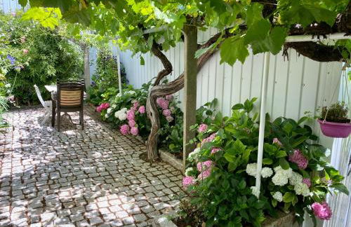 Quinta das flores - Foto 24