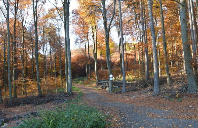 Private Mountain Lodge, Bad Ems - Foto 35