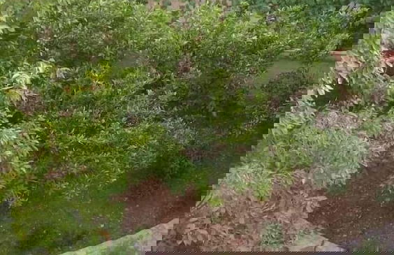 Sutomore View - Foto 9