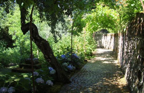 Casas do Toural - Foto 39