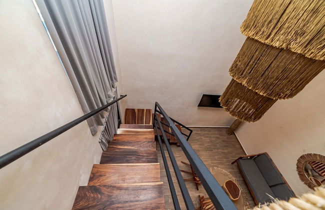 The Teodoro - Photo 33