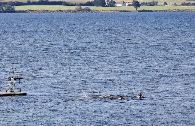 4 Person Holiday Home on a Holiday Park in Faaborg - Foto 44