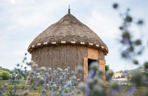 Fonte Flavia - Foto 23