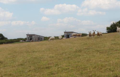 The Cadeleigh - Foto 37