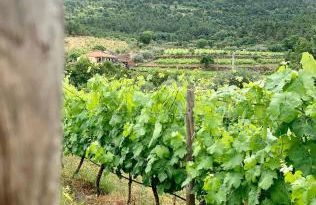 Casa Grande do Seixo - Foto 53