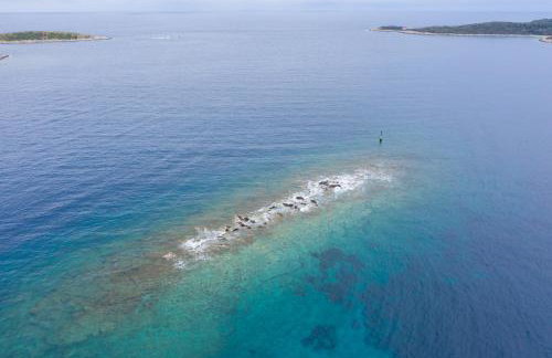 Didova kuća (Grandpa’s house) - Photo 44