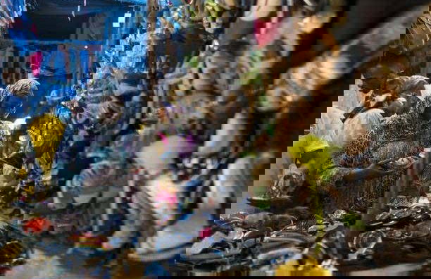 Tour in Dakar - Foto 7