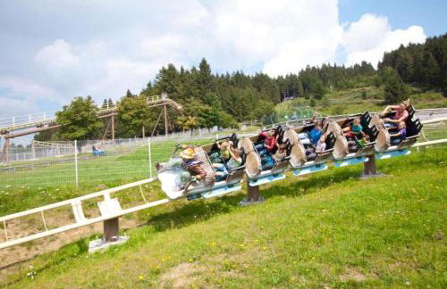 Luxalps - Familienresort St Englmar - Skifahren- Wandern- Natur- Bayrischer Wald Aktiv Card - Foto 23