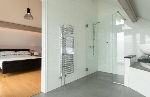 Silver Dawn - Foto 14