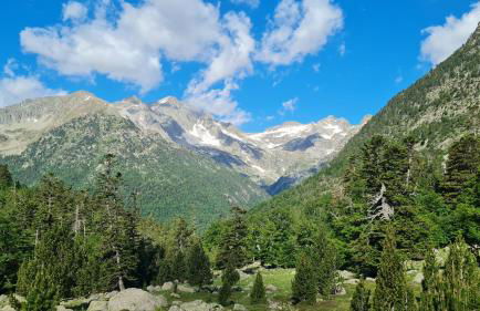 Apartament Vent de Port - Foto 41