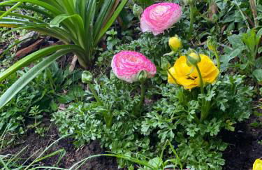 DOLCE VITA IN TUSCANY Cottage - Foto 44