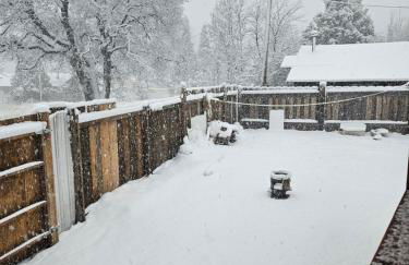 Cute Little House at Mt Shasta - Foto 5