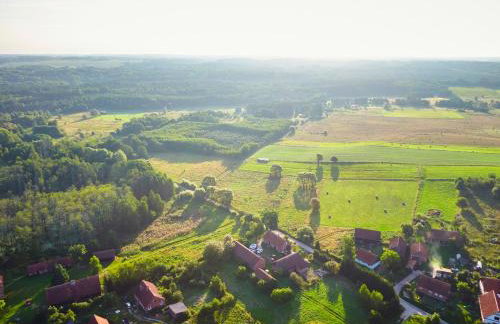 Dębinówka - Foto 4