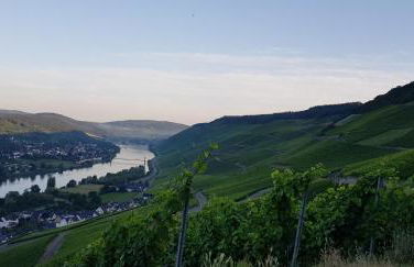 Apartment an der Mosel 1 - Foto 42