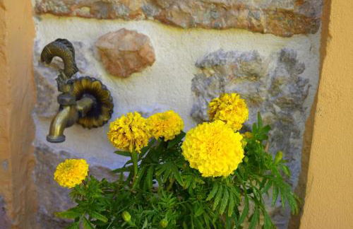 Tilemachos Traditional House - Foto 6