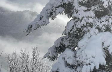 Passione Peonie Apartment - Foto 30