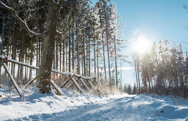 Comfortable Apartment With Balcony, Storage and Parking - Foto 13