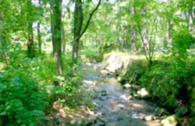 FerienVilla Ambiente - Photo 25