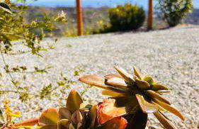 MENTIROSANATA - Foto 59