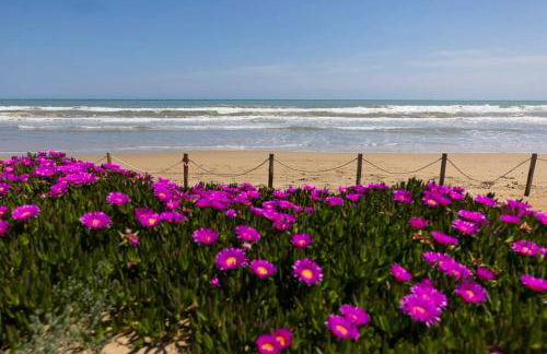 Casa Laura y Sergio - Foto 60