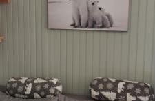 Valfréjus face à la télécabine, wifi, 2 petites chambres - Foto 3