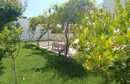 Kristallia - Kattavia surf houses - Foto 21