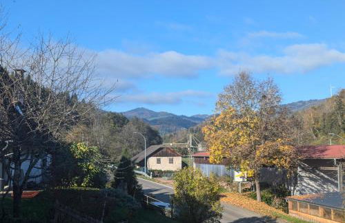 Ferienwohnung am Blitzgi - Foto 24