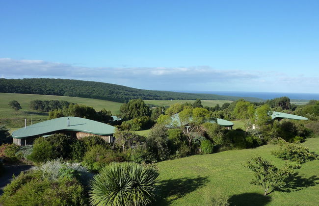 The Boomerangs - Foto 28