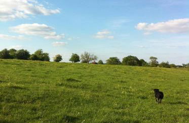 Rew Farm Country & Equestrian Accommodation - Sunrise Lodge - Foto 64