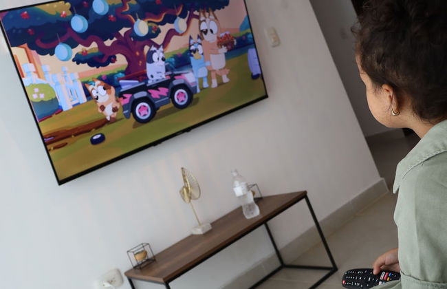 BATARÁ APARTAHOTEL BOUTIQUE - BHB - Photo 45