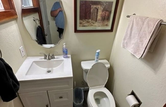 Markleeville Cabin - Foto 19