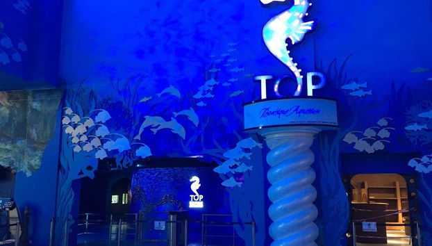 Top Boutique Aquarium