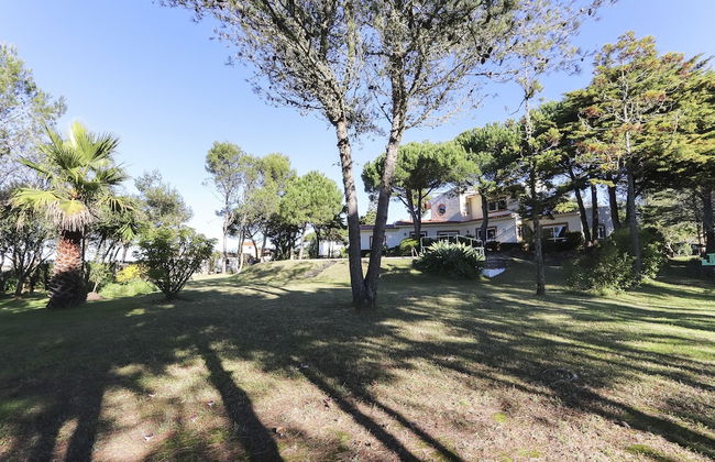 Sintra Classic Villa by Homing - Foto 79