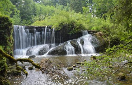 Bergkiefer - Ferienwohnung - Foto 20