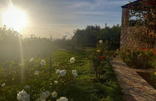 "Villa Othon-Leni" - Panoramic Sea View & Traditional Luxury - Photo 17