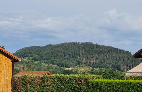 La Clémentine - Foto 27