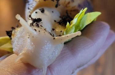 Charming pet friendly 2 bedroom cottage, close to Narberth & local beaches, friendly animals on our smallholding - Foto 25