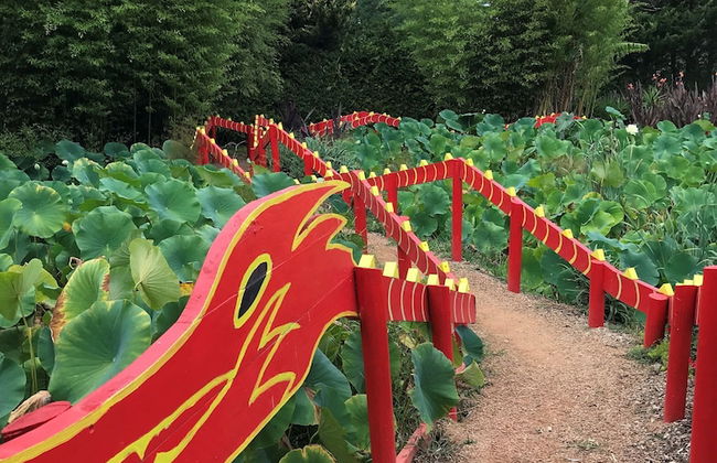 Annie's Escape in Warburton - Foto 25