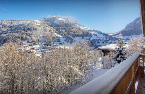 Chalet Cosyneige - OVO Network - Foto 2