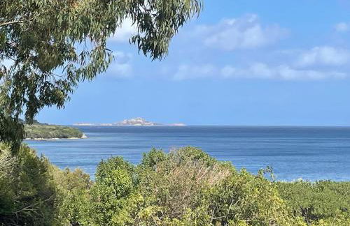 La tartaruga - Photo 32