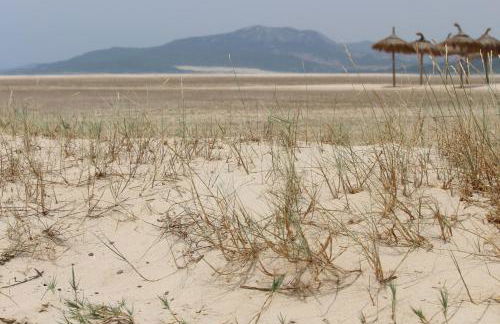 Los Lances Tarifa - Piscina y patio - Photo 49