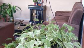 Casa aconchegante - Foto 4