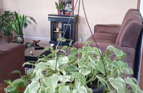 Casa aconchegante - Foto 4