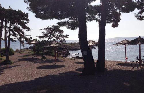 Villa Matovica - Photo 11